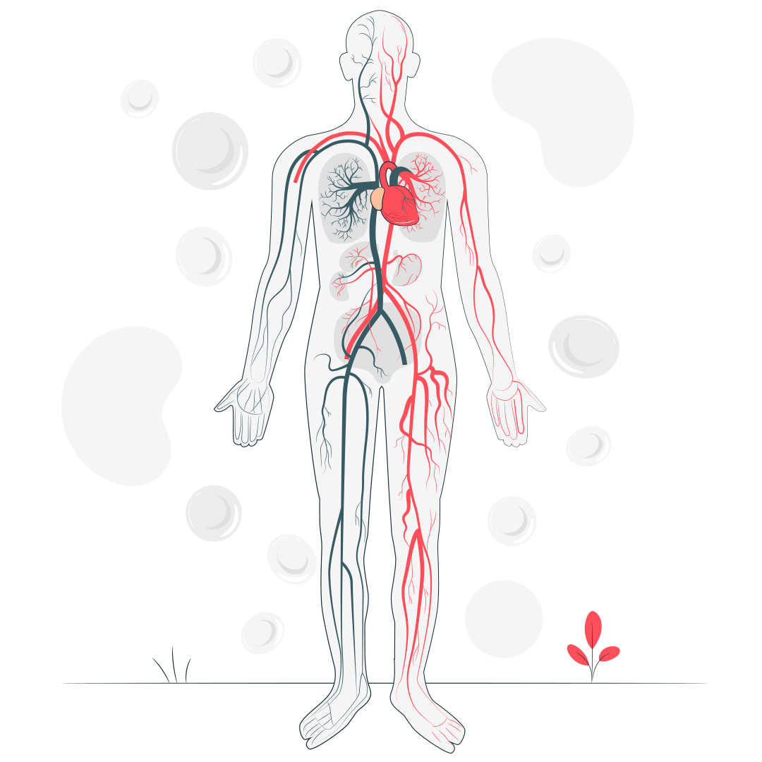 Берут ли в армию с узелковым полиартериитом