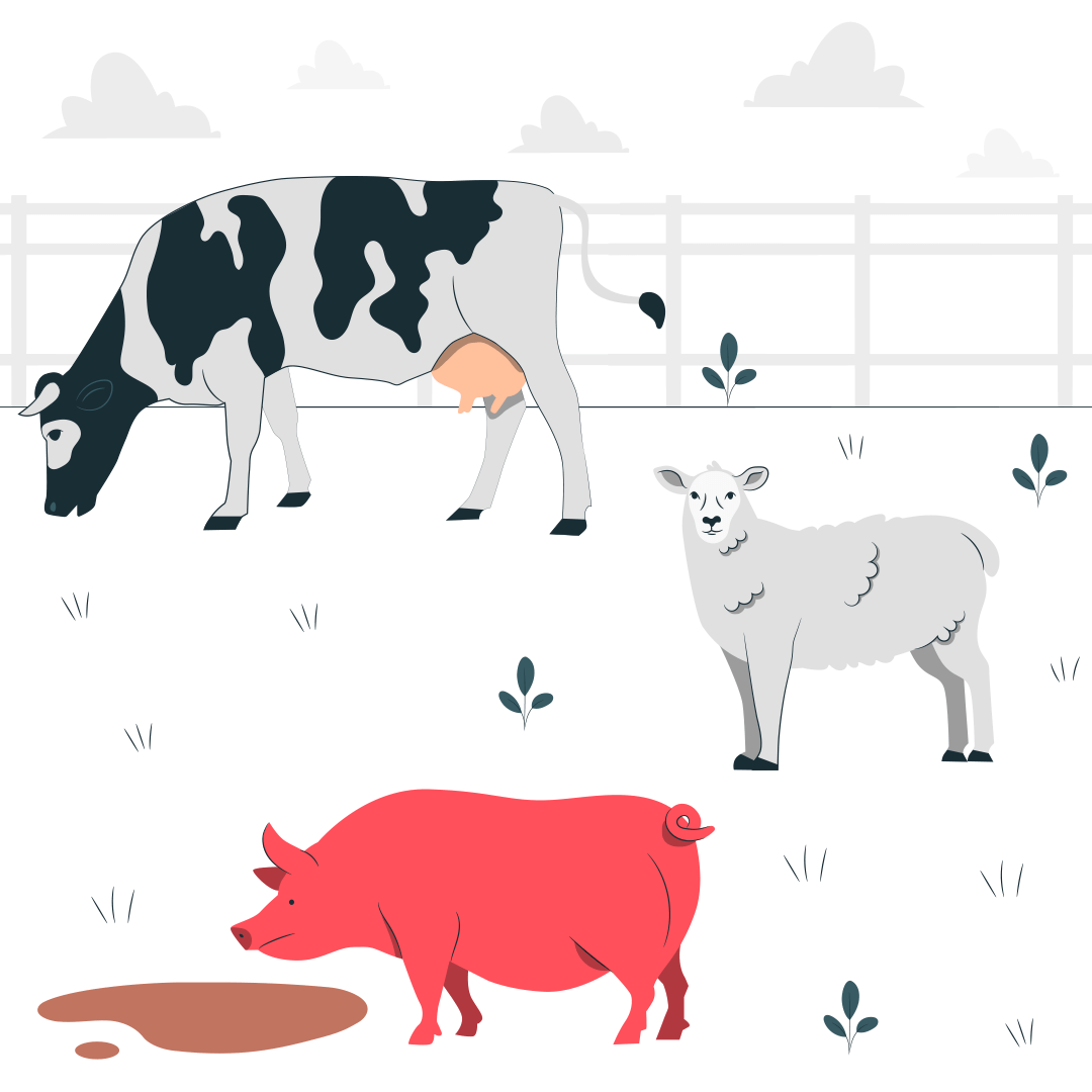 Бруцеллез и армия